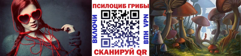 Псилоцибиновые грибы Psilocybe  купить  цена  Грязи 